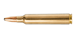 .300 RUM Ammo