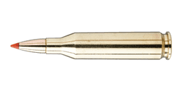 .243 Winchester Ammo