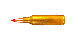 .17 Hornet Ammo