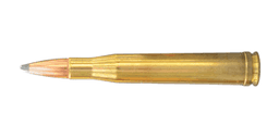 300 H&H Magnum Ammo