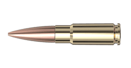 .338 ARC Ammo