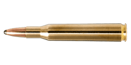 .270 Winchester Ammo