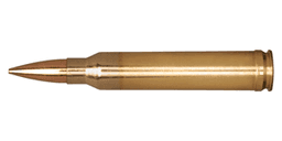 .300 Winchester Magnum Ammo