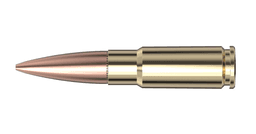 .338 ARC Ammo