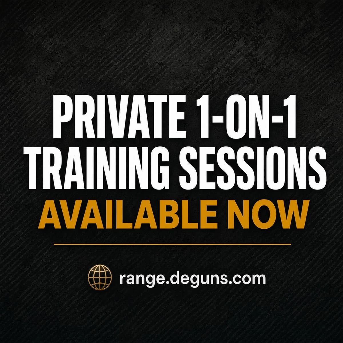 Private 1-on-1 Professional Firearm Training Session Private 1-on-1 Professional Firearm Training Session