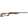 CZ Rimfire Integral Suppressor .17 HMR 20.9" barrel on rimfire rifle CZ Rimfire Integral Suppressor .17 HMR 20.9" barrel on rimfire rifle