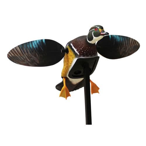 Specification Main Image