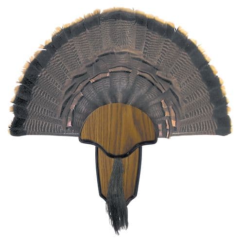 Hunters Specialties 00849 Turkey Tail/Beard Mount Hunters Specialties 00849 Turkey Tail/Beard Mount