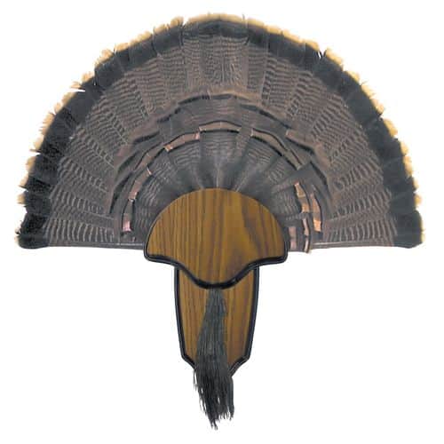Hunters Specialties 00849 Turkey Tail/Beard Mount Hunters Specialties 00849 Turkey Tail/Beard Mount
