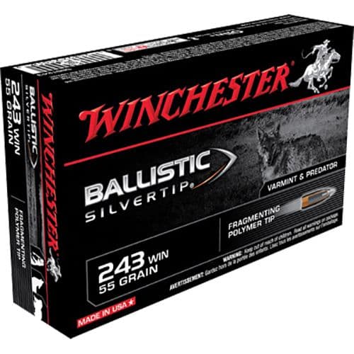 Winchester Ammo SBST243 Ballistic Silvertip 243 Win 55 gr Polymer Tip 20 Bx/ 10 Cs Winchester Ammo SBST243 Ballistic Silvertip 243 Win 55 gr Polymer Tip 20 Bx/ 10 Cs
