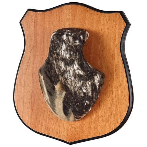 Allen 569 Heirloom Mounting Plaque with Red/MOBU Skull Covers Allen 569 Heirloom Mounting Plaque with Red/MOBU Skull Covers