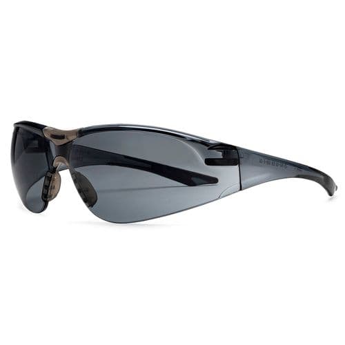 Champion Ballistic Shooting Glasses Smoke Lens Champion Ballistic Shooting Glasses Smoke Lens