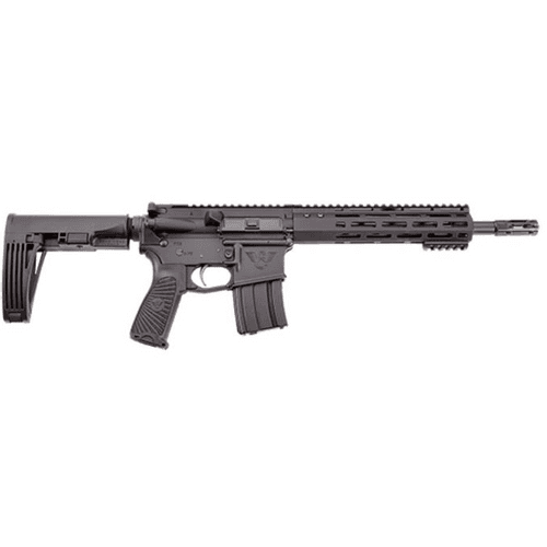 WILSON COMBAT PPE PISTOL W/ BRACE 5.56 WILSON COMBAT PPE PISTOL W/ BRACE 5.56