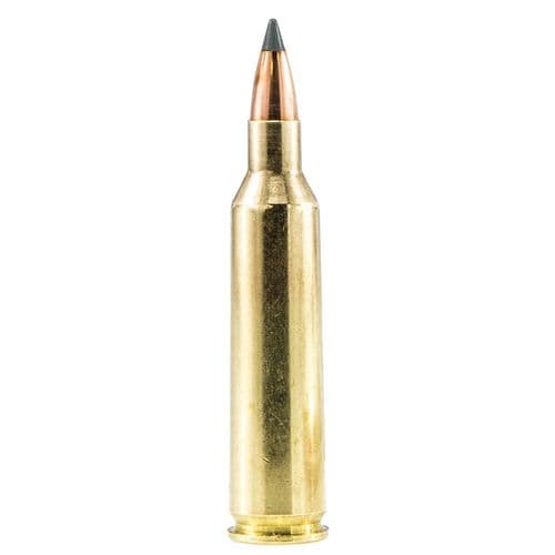 Sig Sauer Elite Hunting Varmint & Predator 243 Win 55 gr Varmint & Predator Tipped - E243V120 Sig Sauer Elite Hunting Varmint & Predator 243 Win 55 gr Varmint & Predator Tipped - E243V120