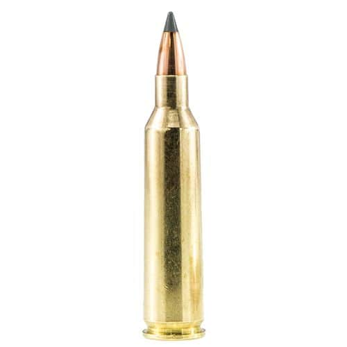 Sig Sauer Elite Hunting Varmint & Predator 243 Win 55 gr Varmint & Predator Tipped - E243V120 Sig Sauer Elite Hunting Varmint & Predator 243 Win 55 gr Varmint & Predator Tipped - E243V120