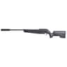 Sig Sauer Airguns AIRASP20 ASP20 with Suppressor Gas Piston 177 Pellet 1rd Black Black Synthetic Stock Sig Sauer Airguns AIRASP20 ASP20 with Suppressor Gas Piston 177 Pellet 1rd Black Black Synthetic Stock