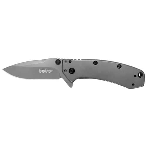 Kershaw 1555TI Cryo 2.75" Drop Point Plain TiCN 8Cr13MoV SS TiCN Gray Stainless Steel Handle Folding Kershaw 1555TI Cryo 2.75" Drop Point Plain TiCN 8Cr13MoV SS TiCN Gray Stainless Steel Handle Folding
