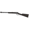 Henry H001GG Garden Gun Smoothbore 22 LR Shotshell Only, Right Hand 15+1 18.50" Black Barrel, Black Ash Stock and Forend, Black Receiver Henry H001GG Garden Gun Smoothbore 22 LR Shotshell Only, Right Hand 15+1 18.50" Black Barrel, Black Ash Stock and Forend, Black Receiver