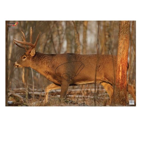 Birchwood Casey 37481 EZE-Scorer Paper 23" x 35" Whitetail Deer 2 Per Pack Birchwood Casey 37481 EZE-Scorer Paper 23" x 35" Whitetail Deer 2 Per Pack