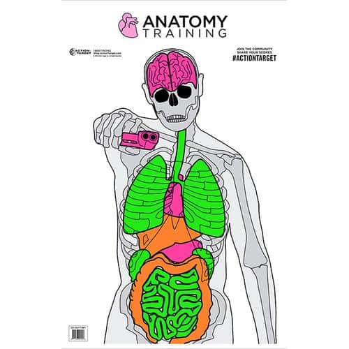 Action Target GSANATOMY100 Anatomy Training Target Silhouette/Vitals Paper Target 23" x 35" 100 Per Box Action Target GSANATOMY100 Anatomy Training Target Silhouette/Vitals Paper Target 23" x 35" 100 Per Box
