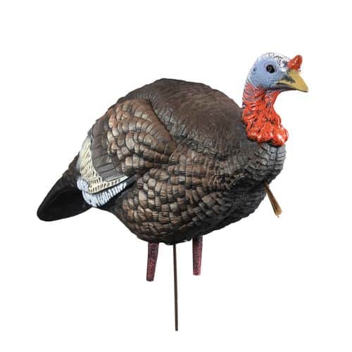 Higdon Outdoors 63144 Hard Body 1/4 Strut Jake Turkey Jake Species Multi Color Higdon Outdoors 63144 Hard Body 1/4 Strut Jake Turkey Jake Species Multi Color