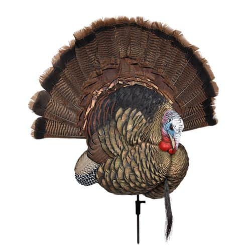 Avian X AVXAVX8021 Trophy Tom Turkey Species Multi Color Avian X AVXAVX8021 Trophy Tom Turkey Species Multi Color