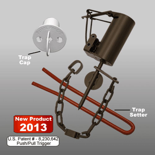 Specification Main Image