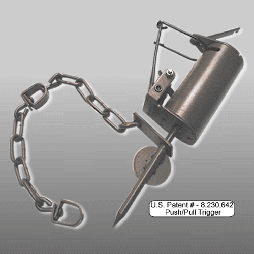 Specification Main Image