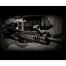 Black Rain Ordnance Tyrant 450 Bushmaster 16" Semi Auto Rifle Black Rain Ordnance Tyrant 450 Bushmaster 16" Semi Auto Rifle