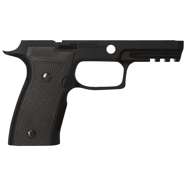 Sig Sauer 8900063 P320 Grip Module AXG Carry 9mm Luger/40 S&W/357 Sig Frame P320 Sig Sauer 8900063 P320 Grip Module AXG Carry 9mm Luger/40 S&W/357 Sig Frame P320