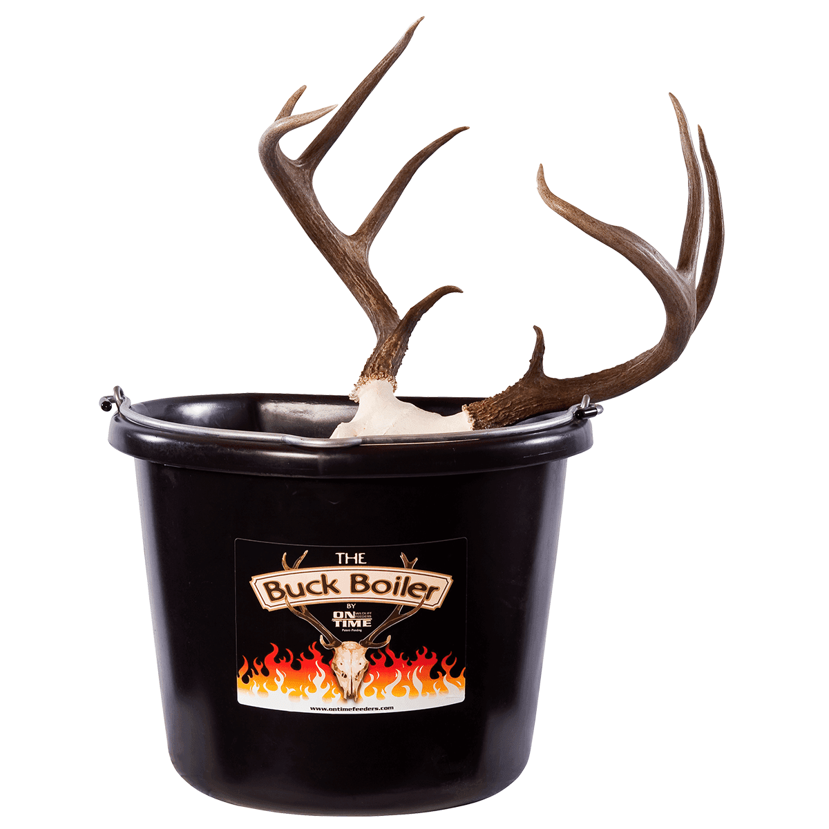 On Time 95000 Buck Boiler All-Electric System for European Dressed Hunting Trophies On Time 95000 Buck Boiler All-Electric System for European Dressed Hunting Trophies