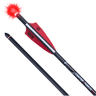 Tenpoint HEA7793 CenterPunch HPX Alpha Blaze Carbon 20" .001 Straightness Red Tenpoint HEA7793 CenterPunch HPX Alpha Blaze Carbon 20" .001 Straightness Red