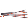 Ravin Crossbows R138 Arrows 400GR .003" 6 Pack Ravin Crossbows R138 Arrows 400GR .003" 6 Pack