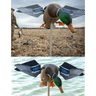 Avian X PowerFlight Mallards Species, Outdoor View Avian X PowerFlight Mallards Species, Outdoor View