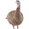 Avian X LCD Lookout Hen Turkey Species, Front View Avian X LCD Lookout Hen Turkey Species, Front View