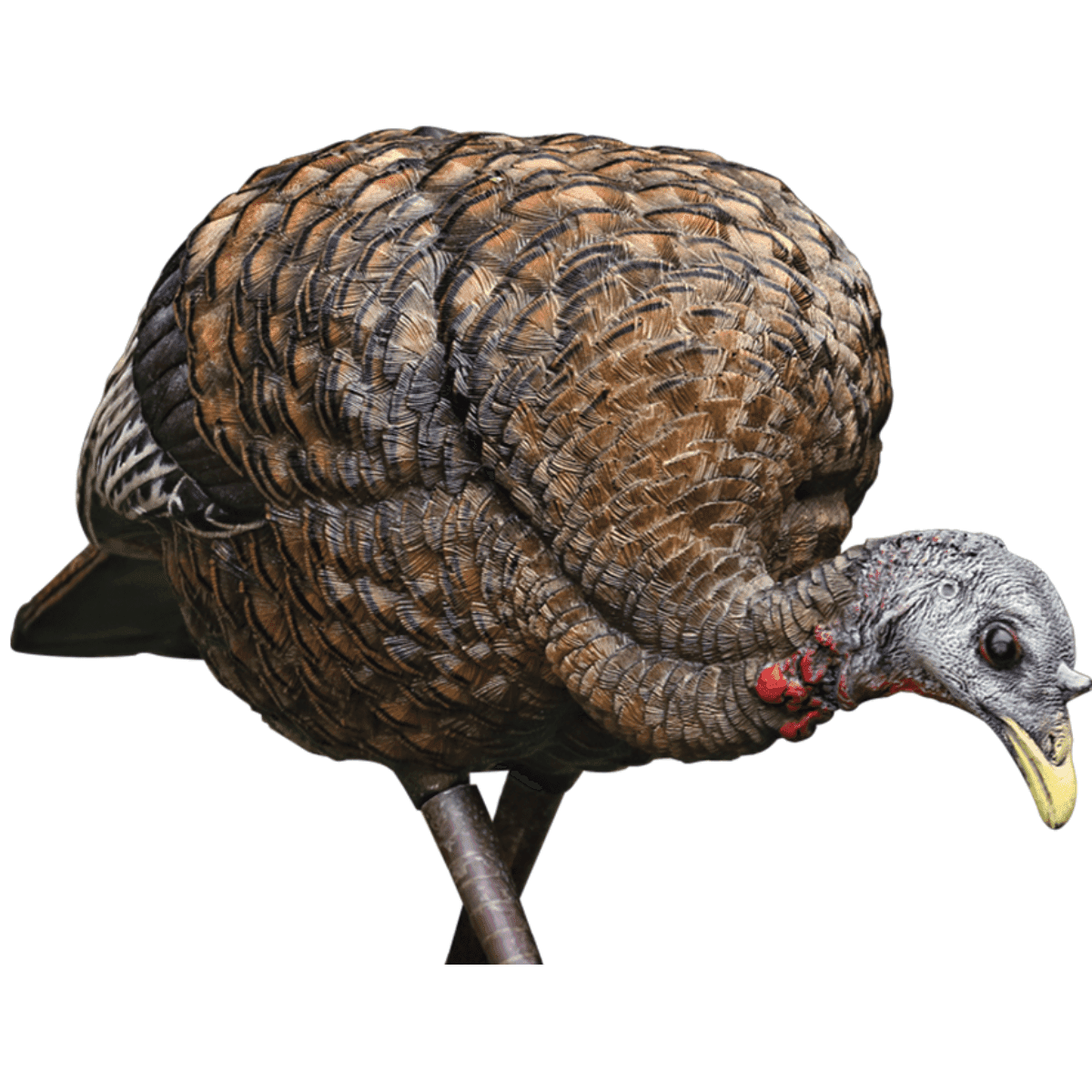 Avian X LCD Feeder Hen Turkey Species - AVXAVX8007 Avian X LCD Feeder Hen Turkey Species - AVXAVX8007