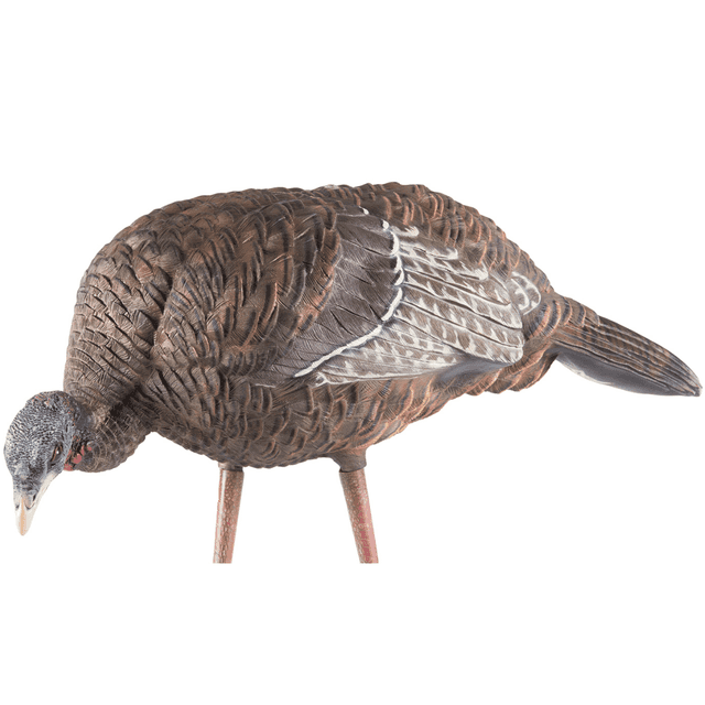 Avian X LCD Breeder Hen Turkey Species - AVXAVX8008 Avian X LCD Breeder Hen Turkey Species - AVXAVX8008