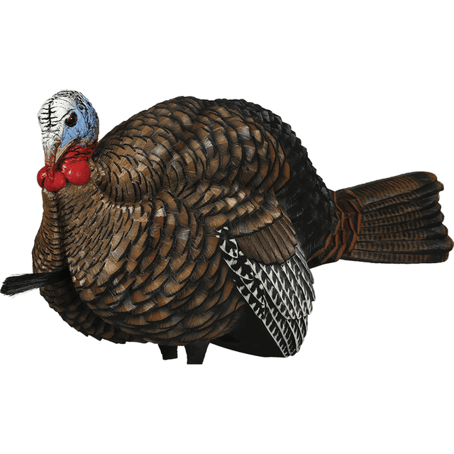 Avian X LCD Half-Strut Jake Turkey Species - AVXAVX8012 Avian X LCD Half-Strut Jake Turkey Species - AVXAVX8012