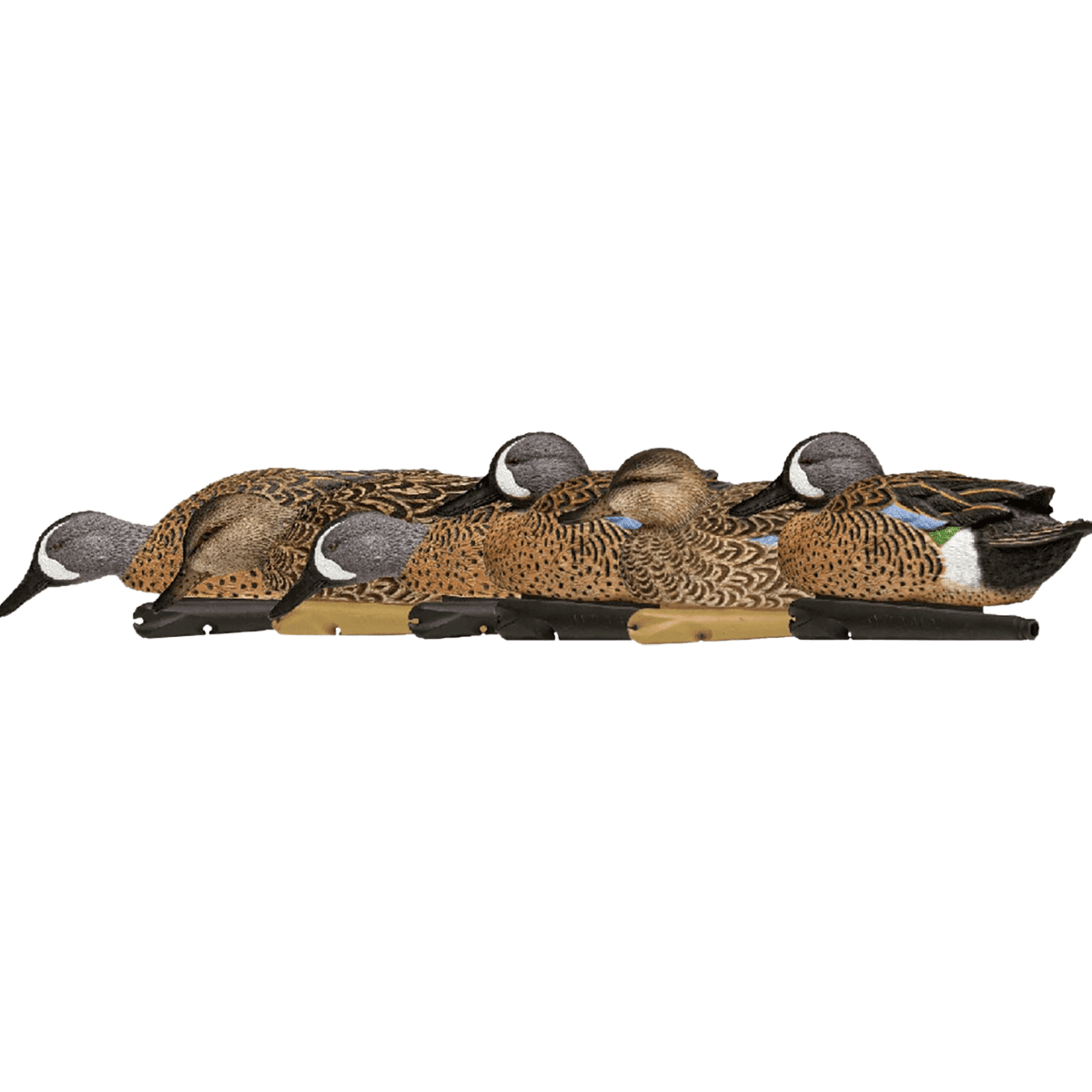 Avian X Topflight Teal Species - AVXAVX8080 Avian X Topflight Teal Species - AVXAVX8080