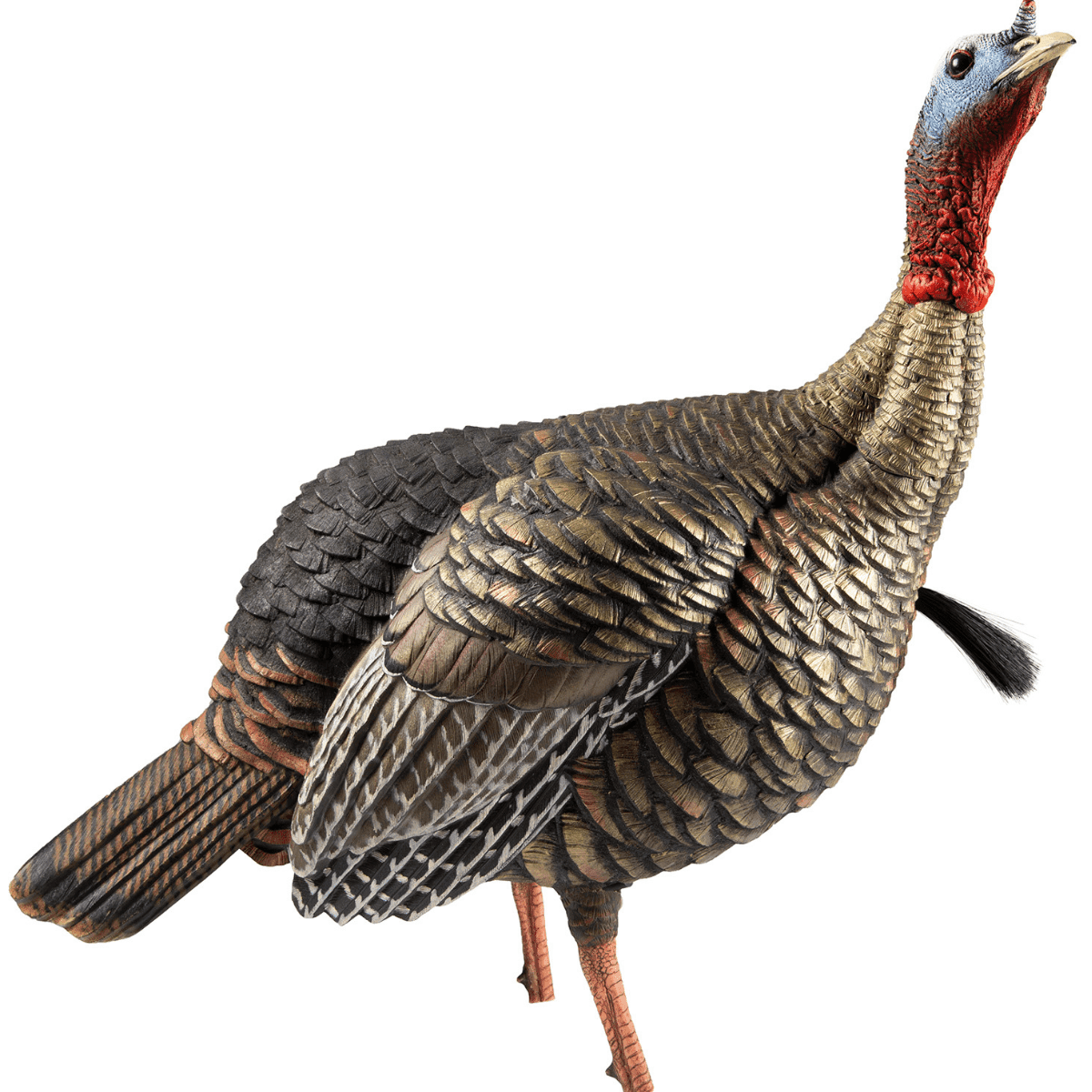 Avian X HDR Jake Turkey Decoy - AVXAVX8105 Avian X HDR Jake Turkey Decoy - AVXAVX8105