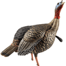 Avian X HDR Jake Turkey Decoy, Side View Avian X HDR Jake Turkey Decoy, Side View