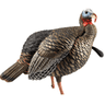 Avian X HDR Jake Turkey Decoy, Side View Avian X HDR Jake Turkey Decoy, Side View