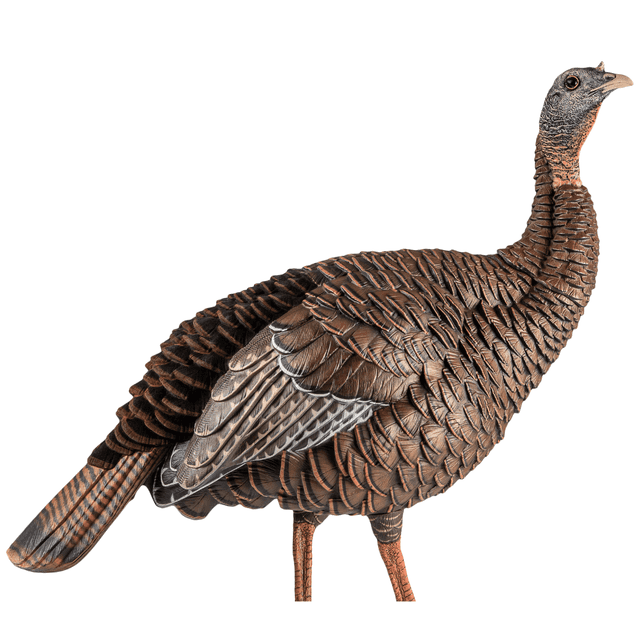 Avian X HDR Hen Turkey Species - AVXAVX8106 Avian X HDR Hen Turkey Species - AVXAVX8106