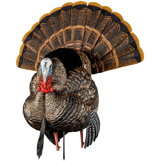 Avian X HDR Strutter Turkey Species - AVXAVX8108 Avian X HDR Strutter Turkey Species - AVXAVX8108