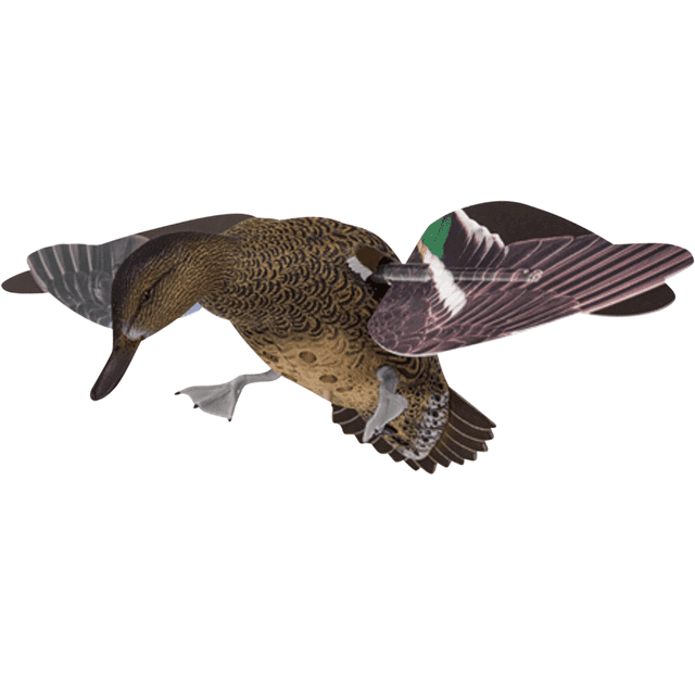 Avian X PowerFlight Hen Multi-Color - AVXPFLHT Avian X PowerFlight Hen Multi-Color - AVXPFLHT