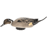 Avian X Pintail Species Multi-Color, Side View Avian X Pintail Species Multi-Color, Side View