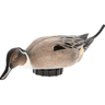 Avian X Pintail Species Multi-Color, Front View Avian X Pintail Species Multi-Color, Front View