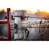 Spypoint FLEX-M Twin Pack Camera, Outdoor View Spypoint FLEX-M Twin Pack Camera, Outdoor View