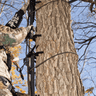 Muddy Pro Climbing Sticks, Outdoor View Muddy Pro Climbing Sticks, Outdoor View