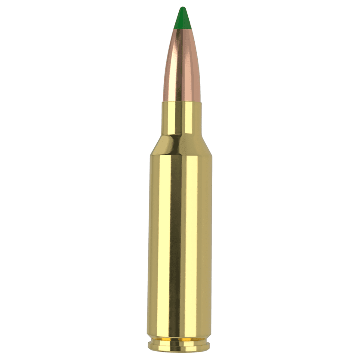Nosler 61035 300WSM 165gr Ballistic Tip 20 Per Box Nosler 61035 300WSM 165gr Ballistic Tip 20 Per Box